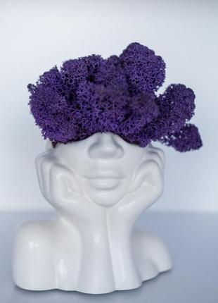 Elegant flower pot lady with purple moss, which brings good luck
