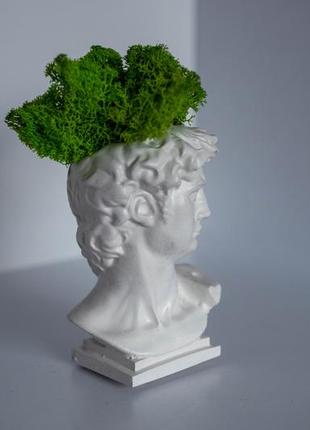 Flowerpot david, pot with moss, david vase, sculptures, david casing, home decoration, planter pots3 photo