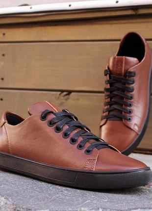 Practical men's sneakers of brown color. Ed-Ge 429 is a good choice for every day5 photo