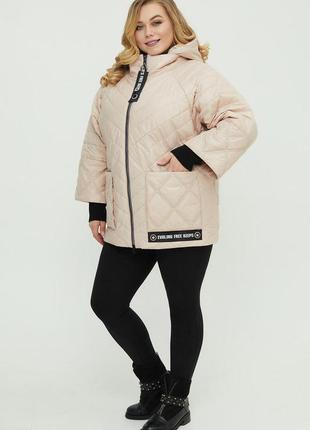 Large size women's demi-season jacket size  48-662 photo