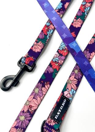 Dog collar and leash set Violet S+10ft (300cm)2 photo