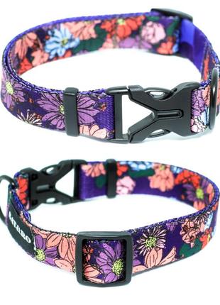 Dog collar and leash set Violet M+8ft (250cm)3 photo
