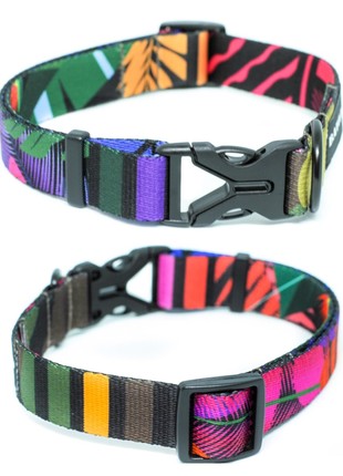Dog collar nylon BAT&RO "Jungle" S (30-40cm)