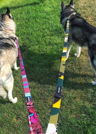 Dog collar and leash set Gangsta M+6ft (180cm)5 photo