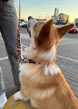 Dog collar and leash set Tattoo S+10ft (300cm)4 photo